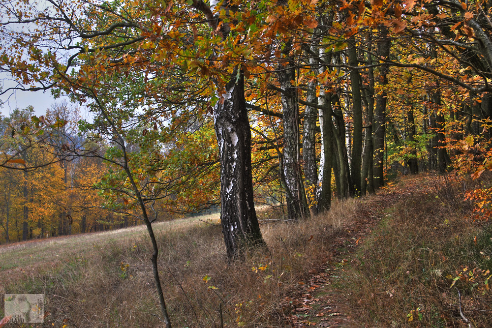 Farben im Herbst