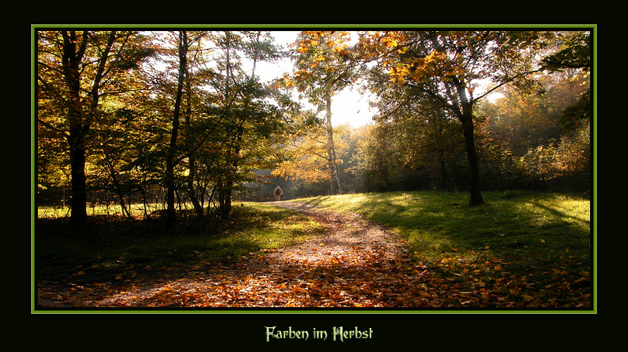 Farben im Herbst