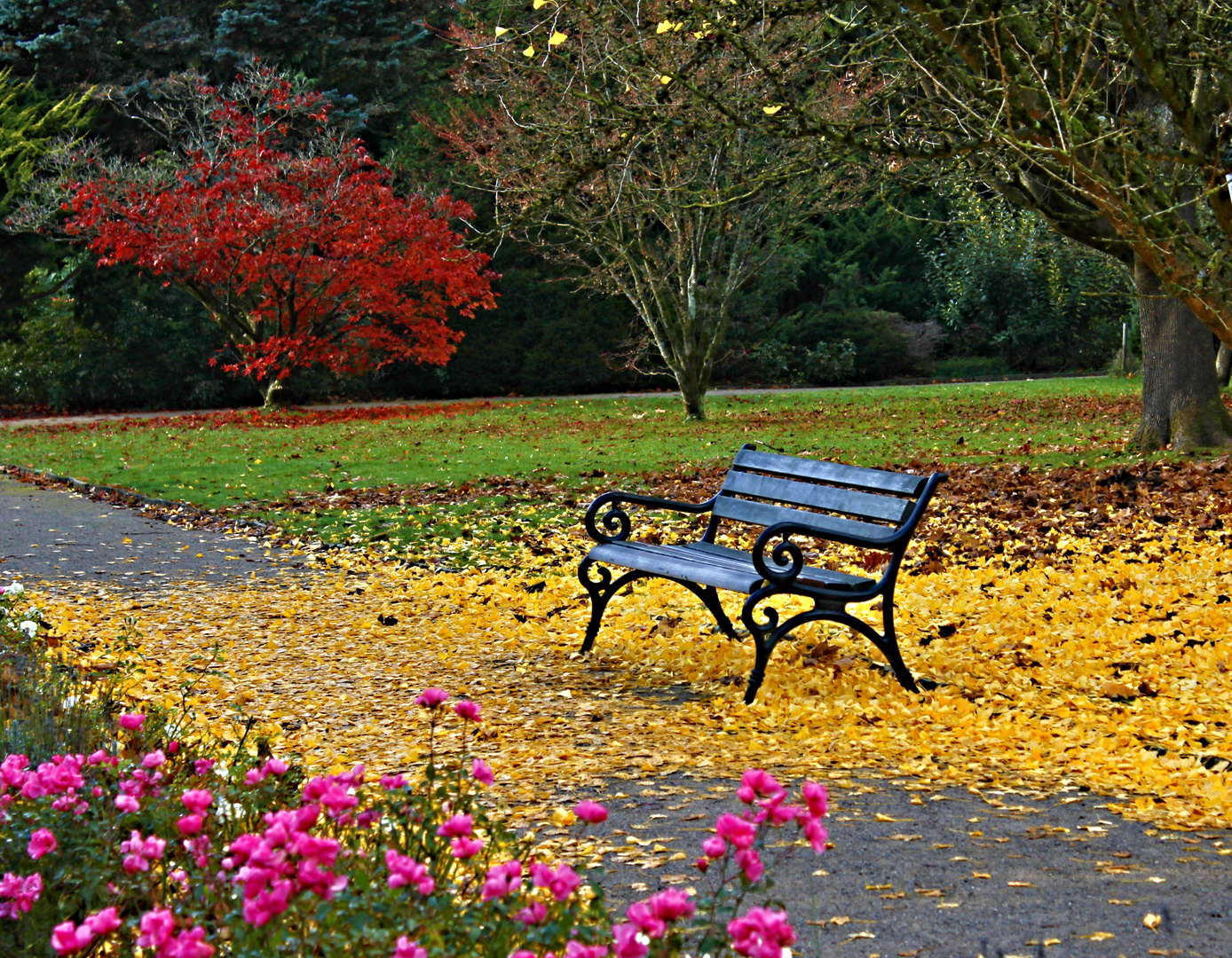 Farben im Herbst