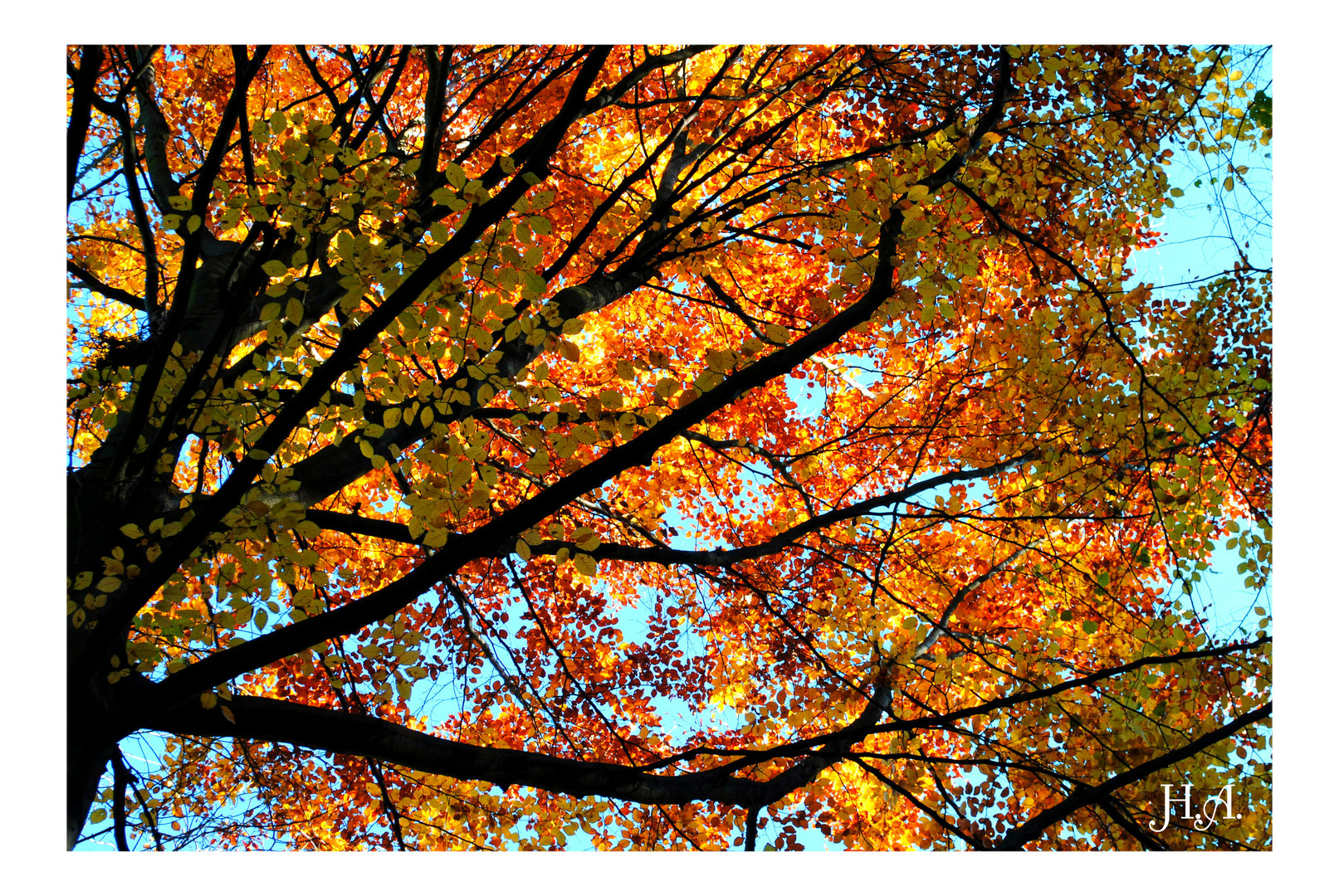 Farben im Herbst.