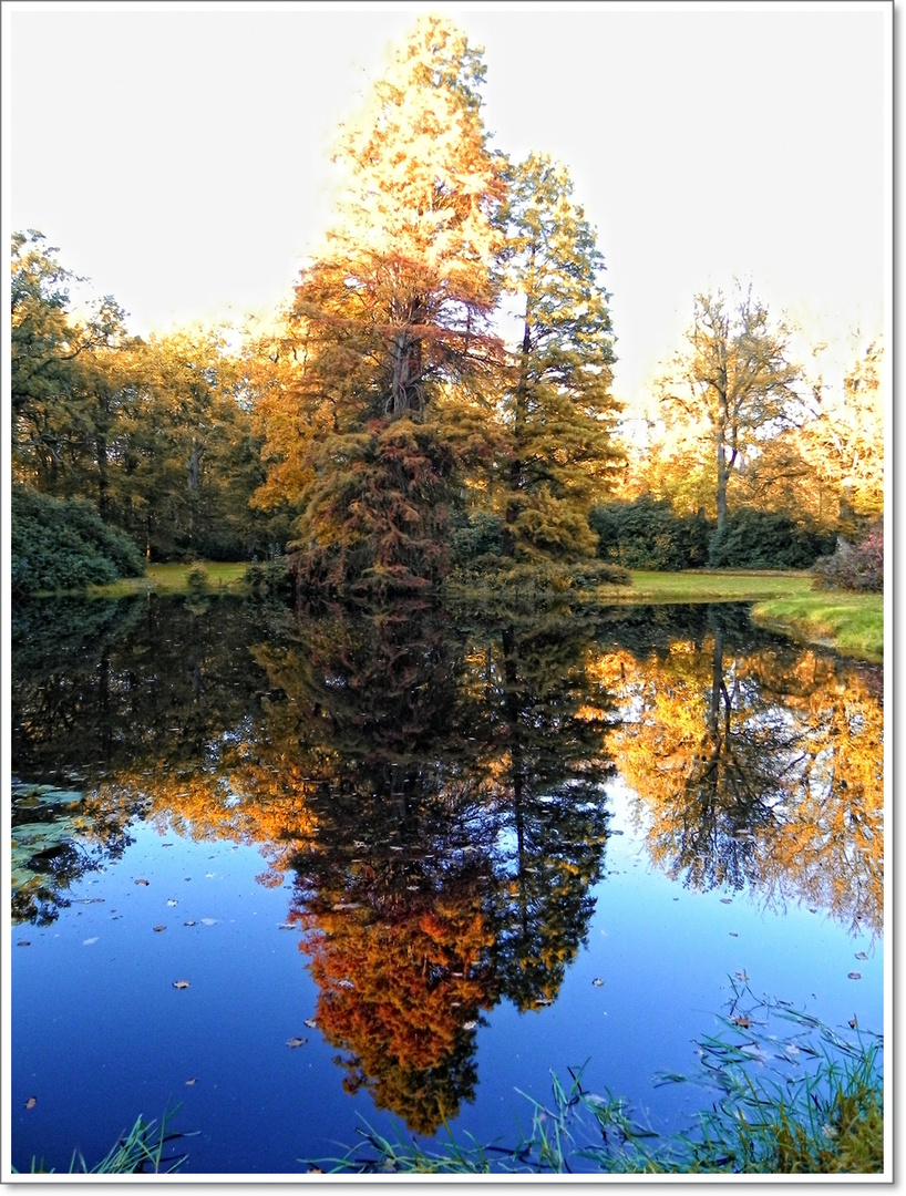 Farben im Herbst