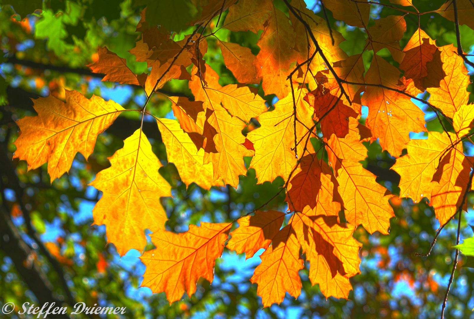 Farben im Herbst