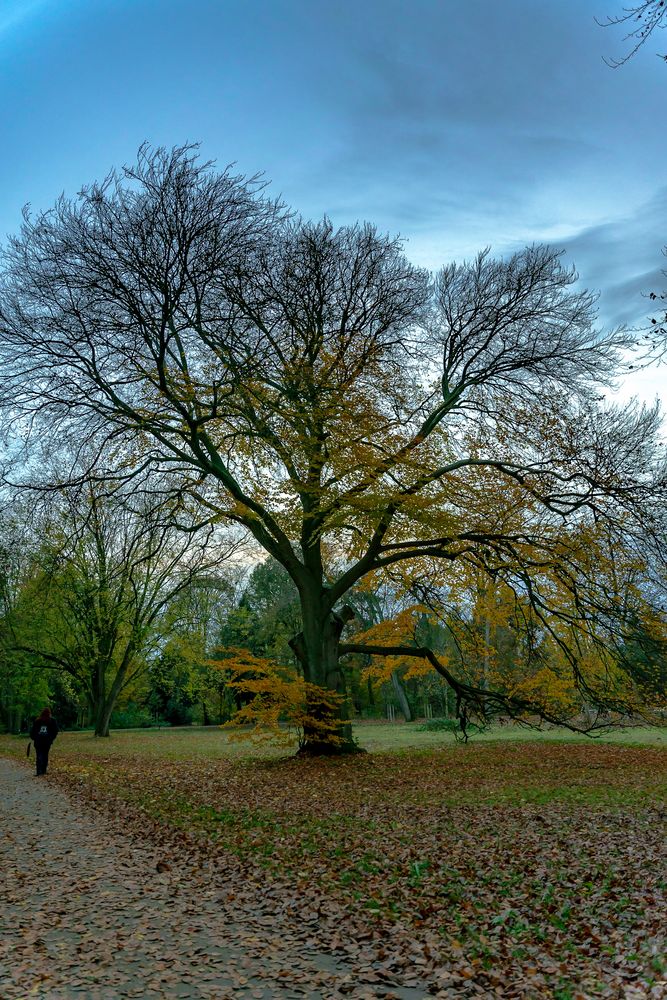 Farben im Herbst