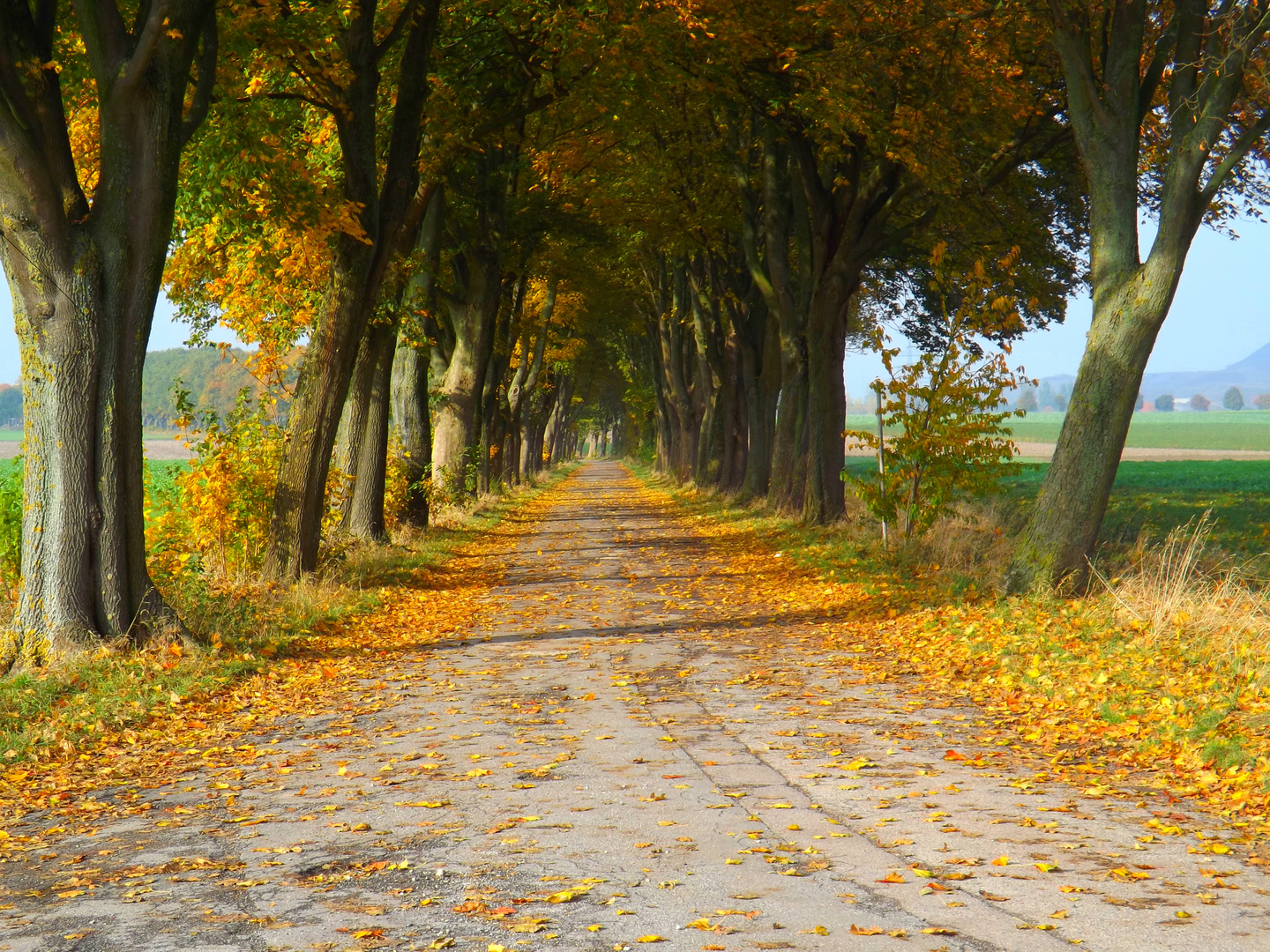 Farben im Herbst