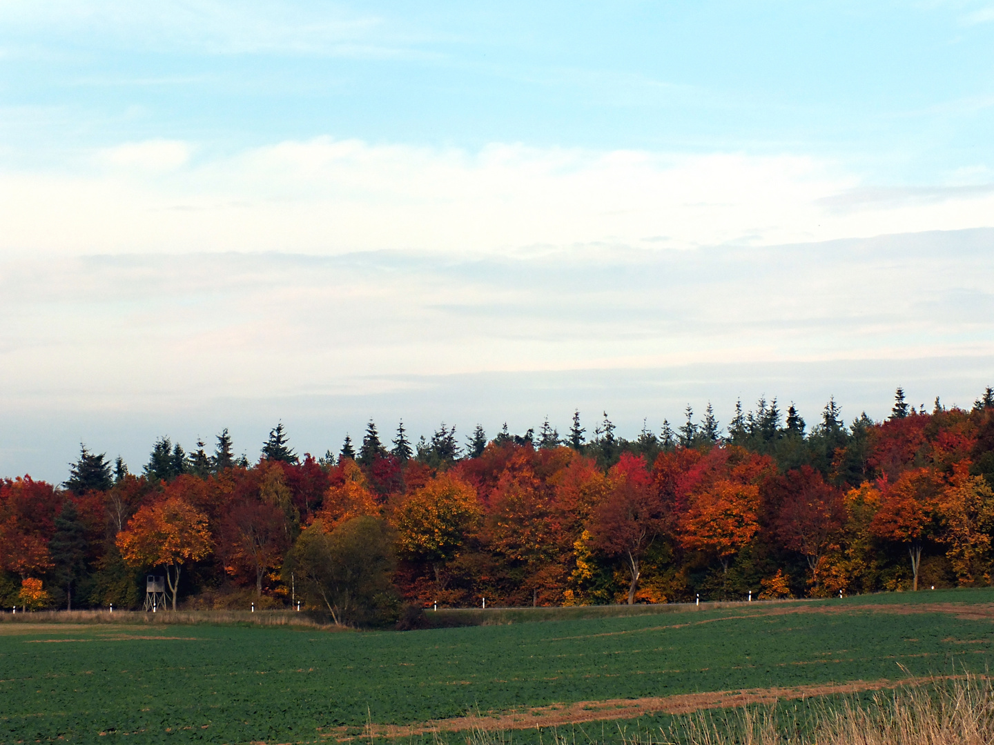 Farben im Herbst