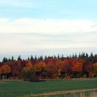 Farben im Herbst