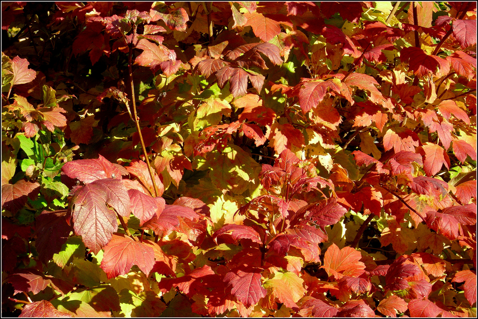 farben im herbst