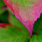 farben im herbst