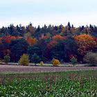 Farben im Herbst