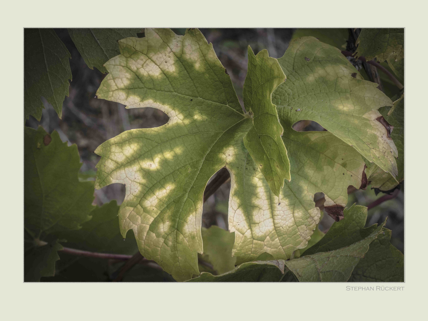 Farben im Herbst