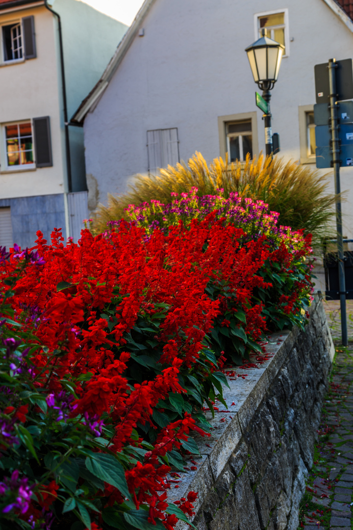 Farben im Herbst