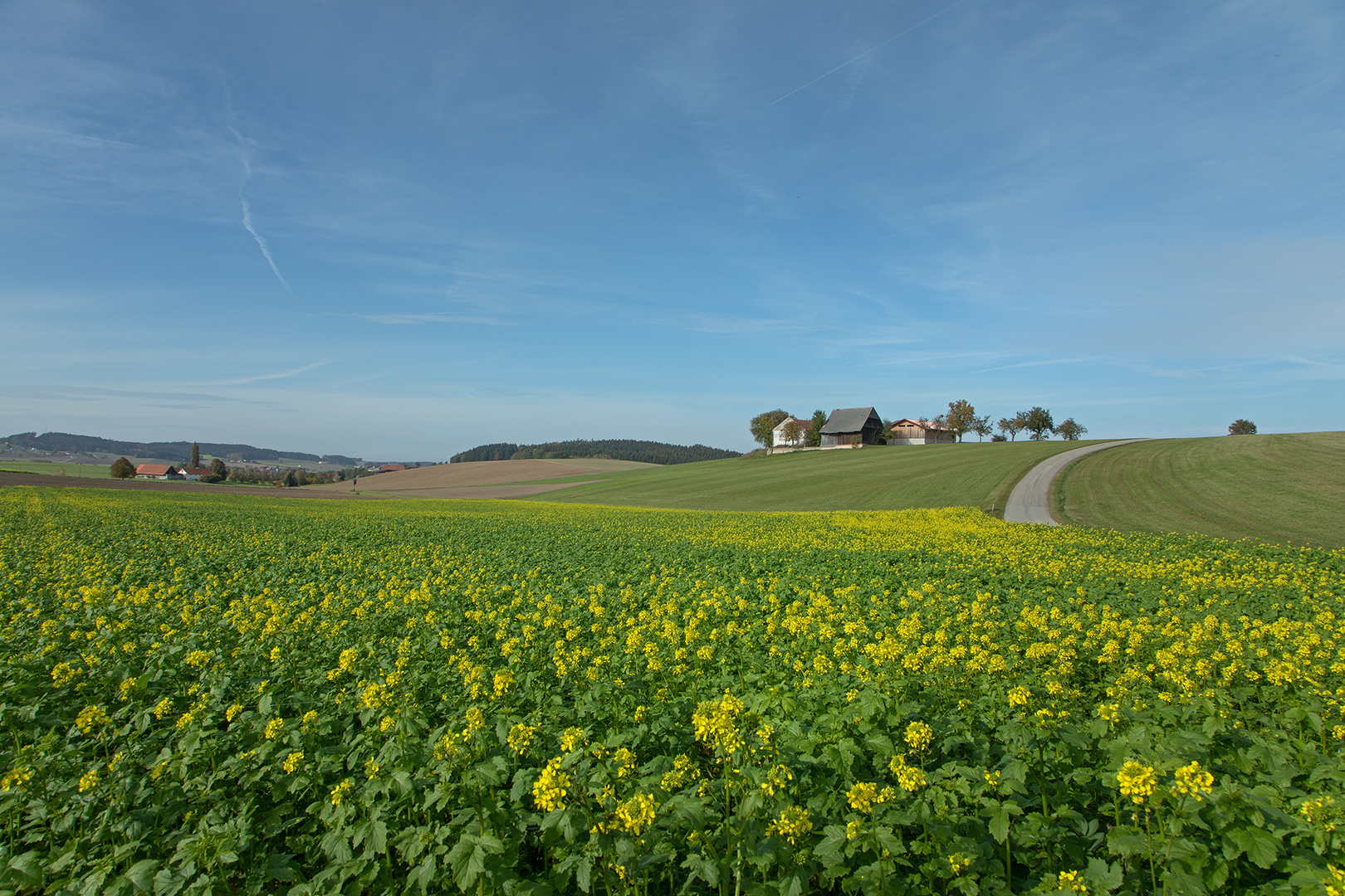 Farben im Herbst