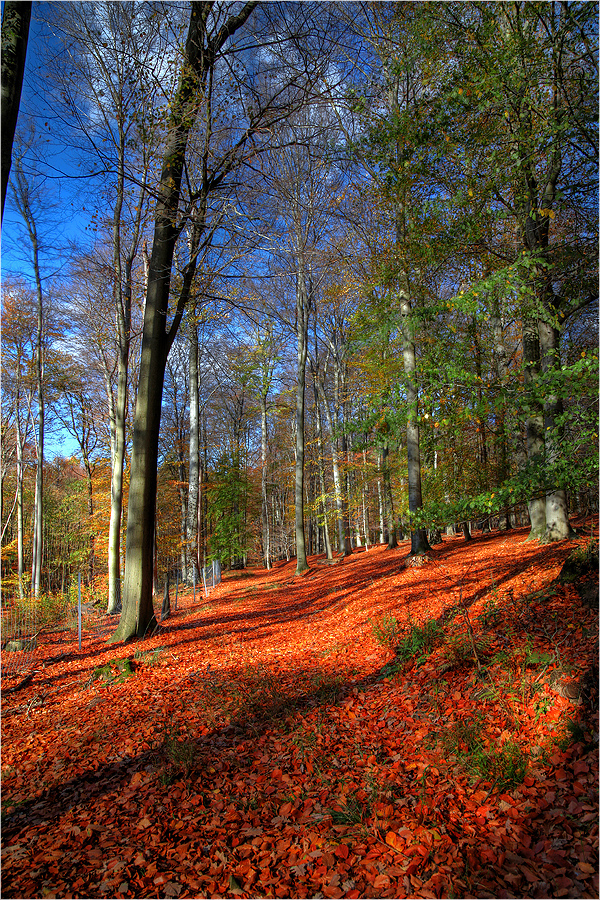 Farben im Herbst