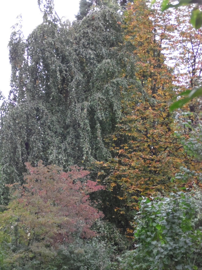 Farben im Herbst