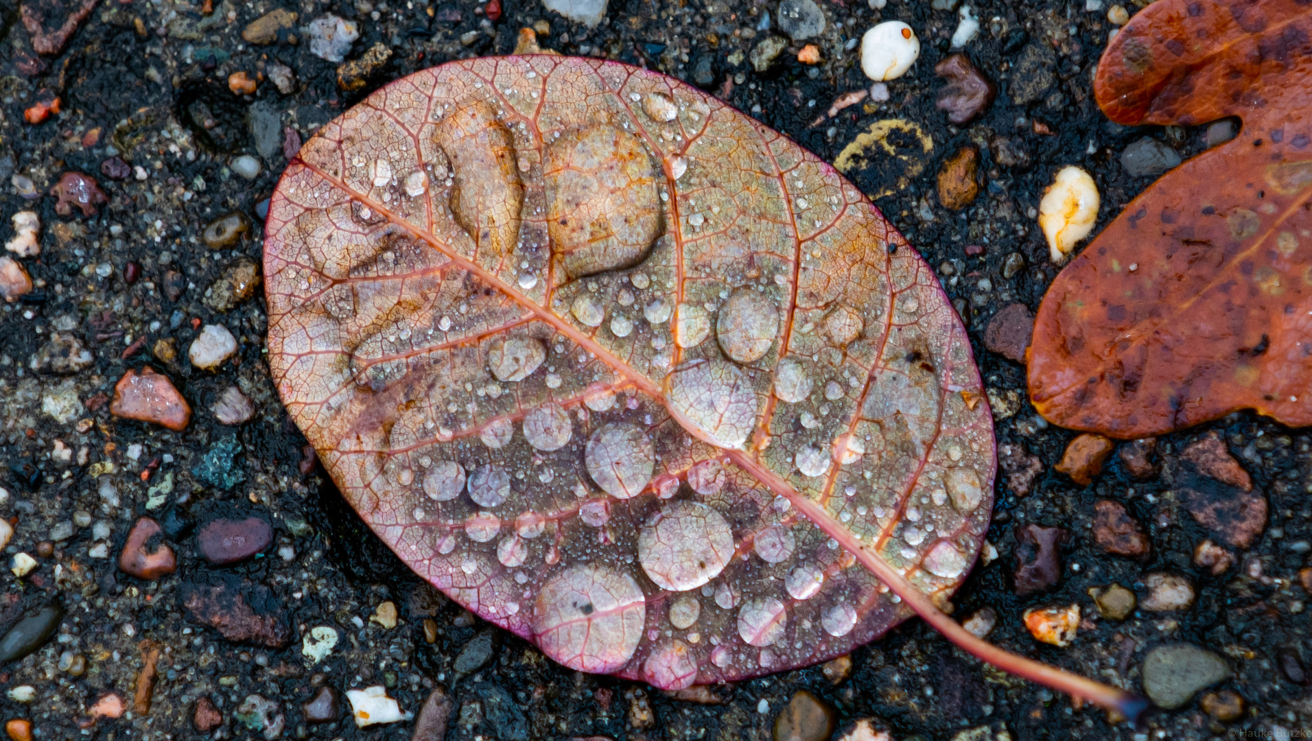 Farben im Herbst