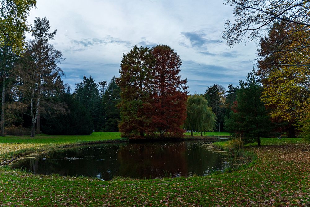 Farben im Herbst