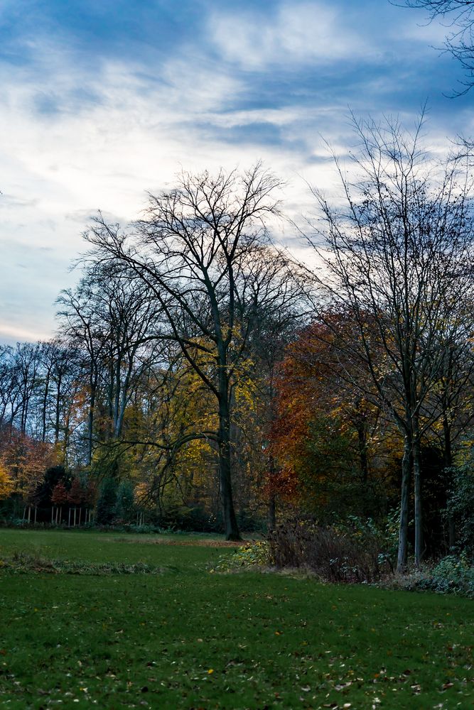 Farben im Herbst