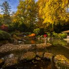 Farben im Japangarten