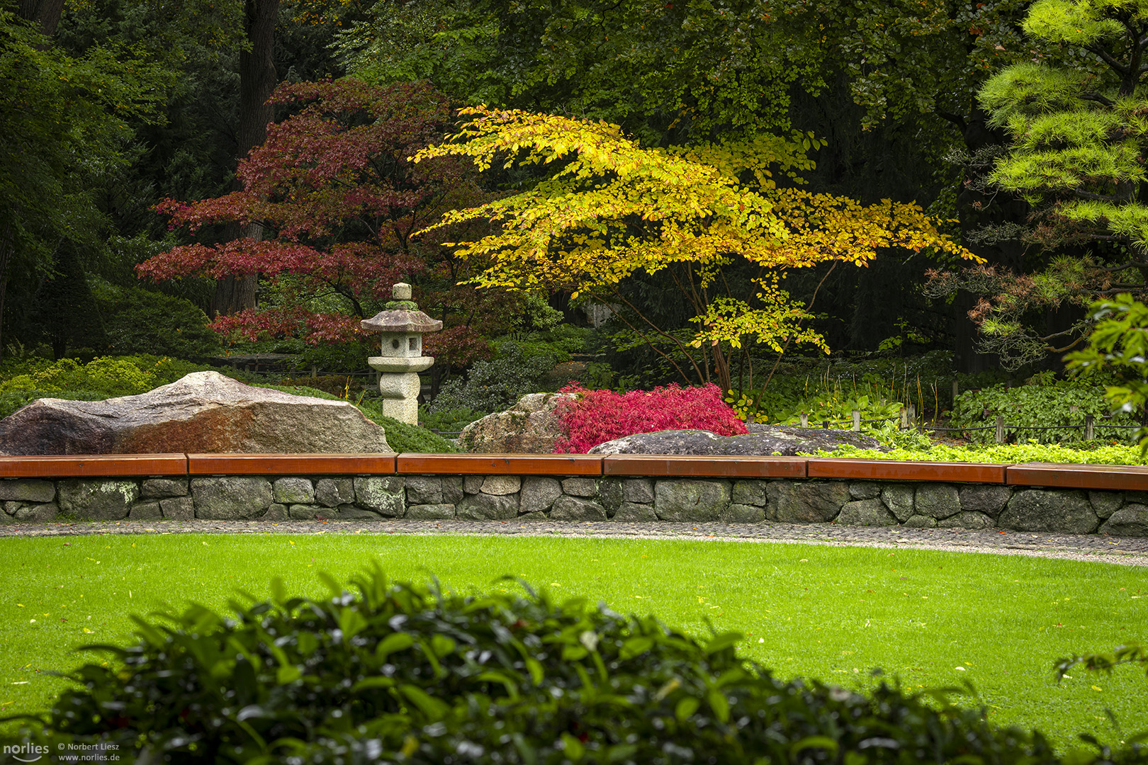 Farben im Japangarten