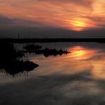 Farben im Moor