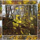 Farben im November 03