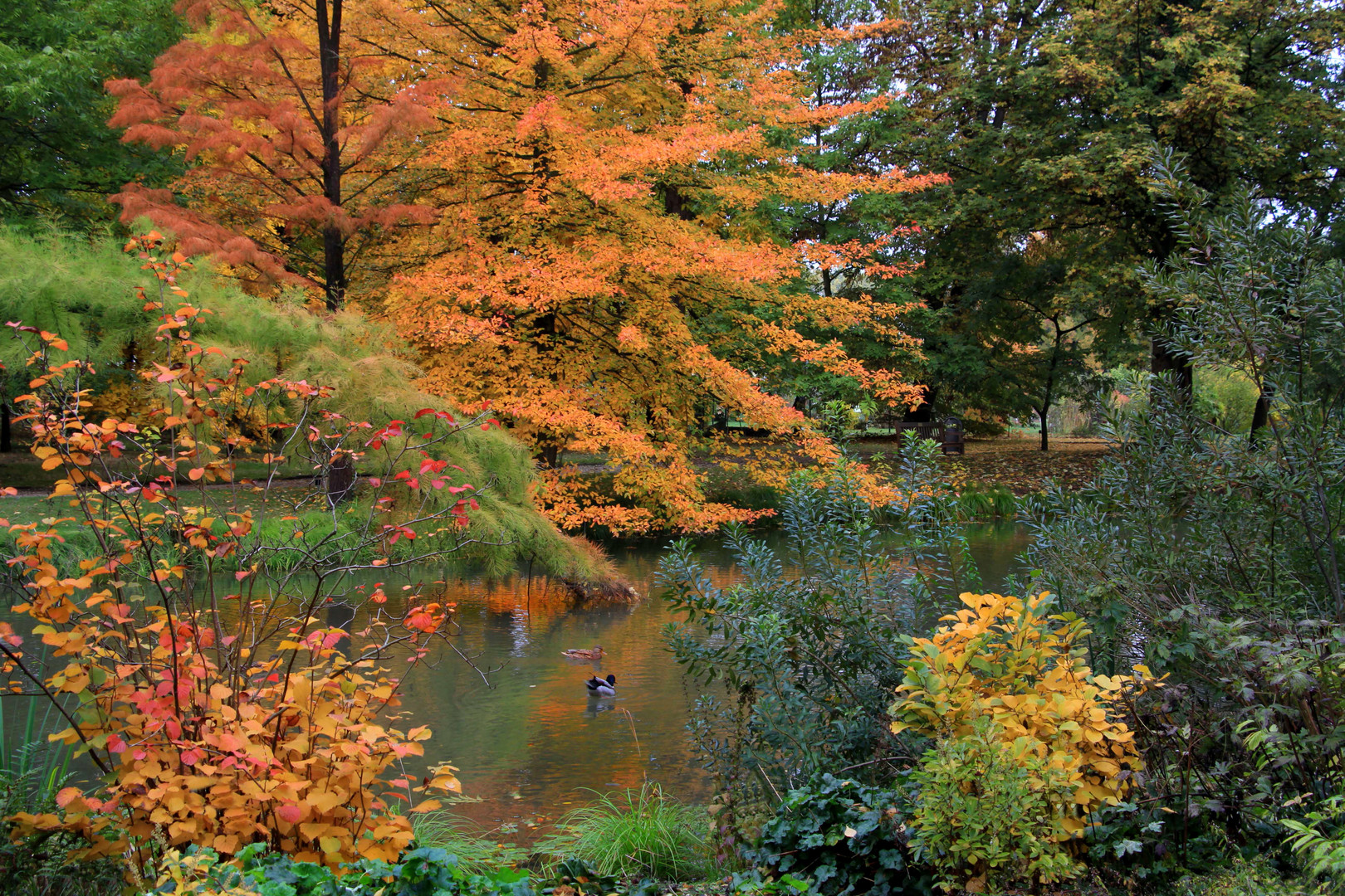 Farben im Novembergrau