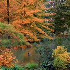 Farben im Novembergrau