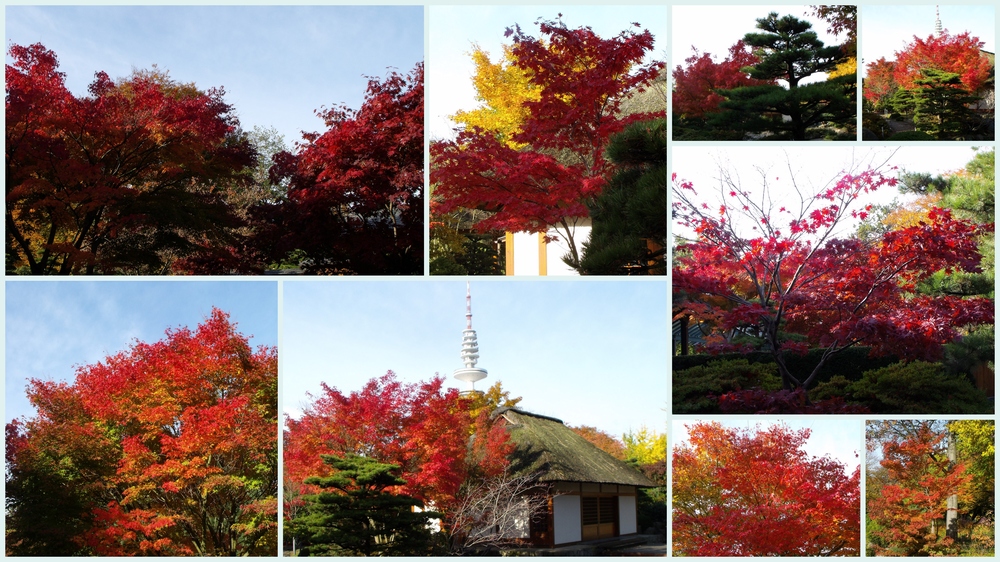 Farben im Oktober 04