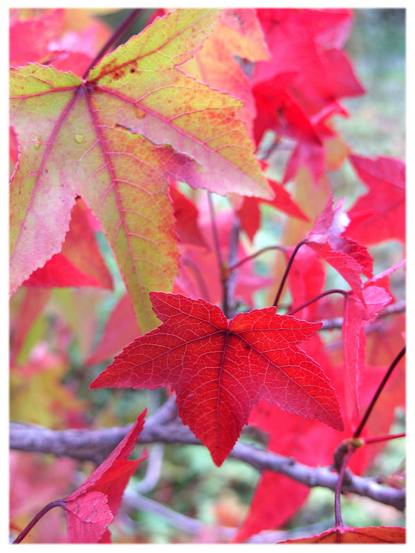 Farben im Oktober