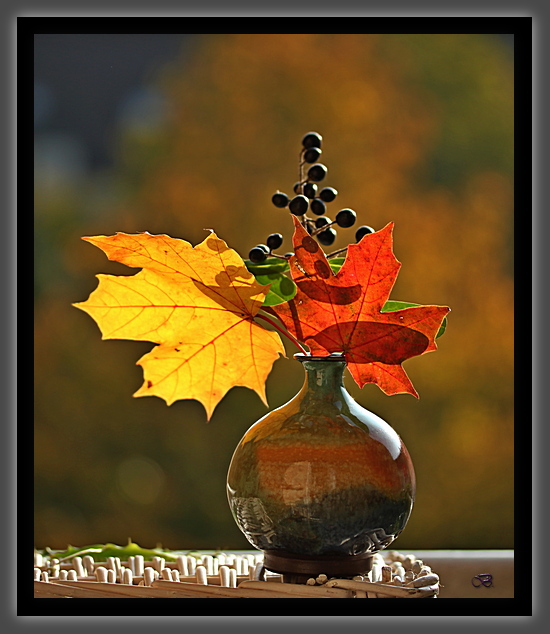 Farben im Oktober