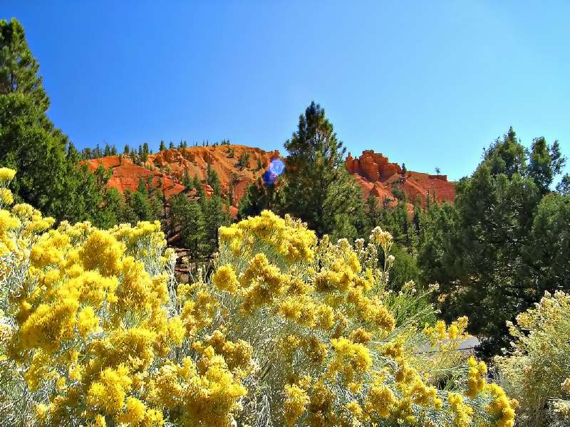 Farben im Red Canyon