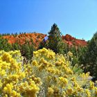 Farben im Red Canyon