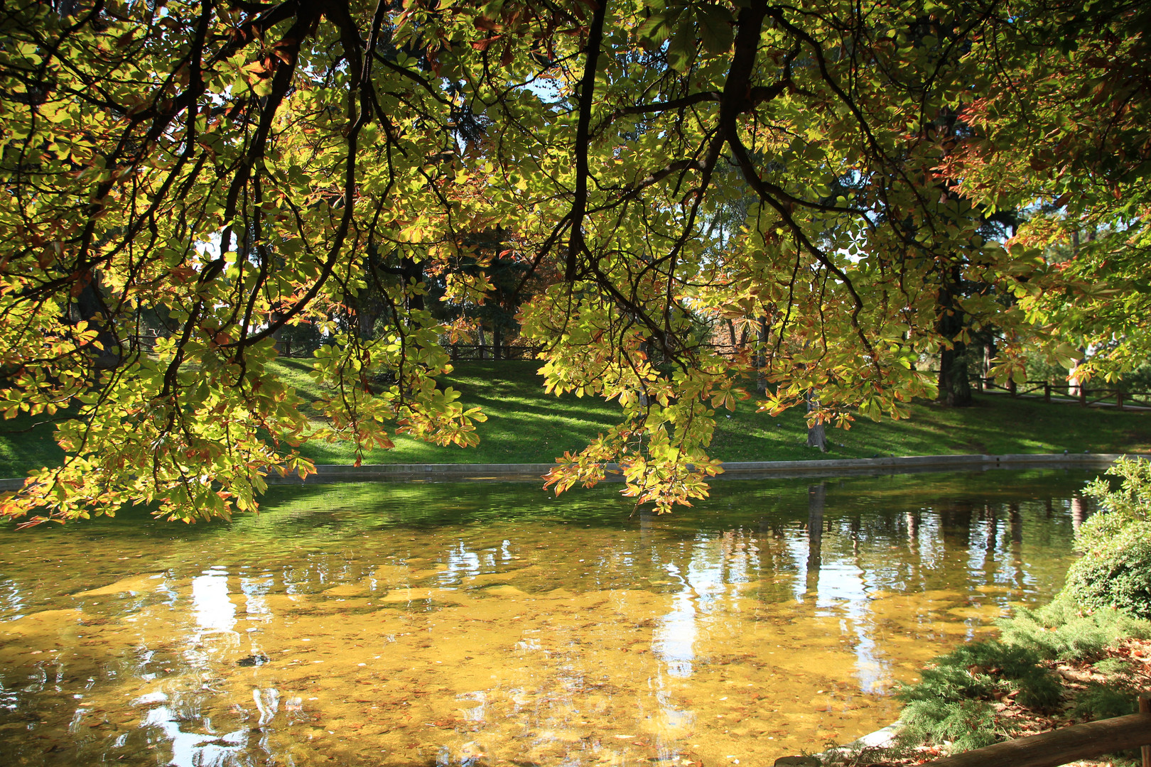 Farben im Retiro Park Madrid