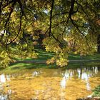 Farben im Retiro Park Madrid