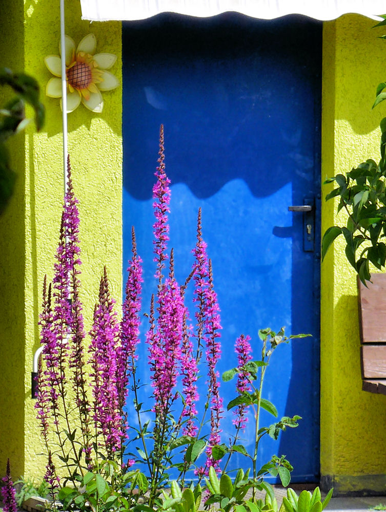 Farben im Schrebergarten