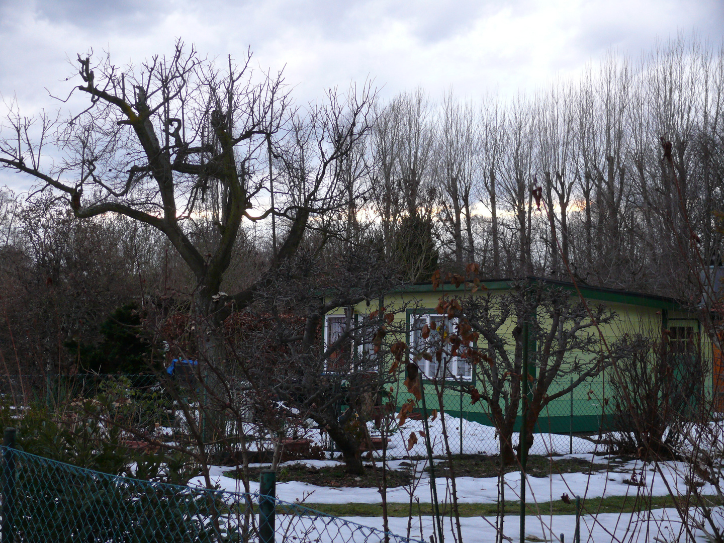 Farben im Schrebergarten-grün