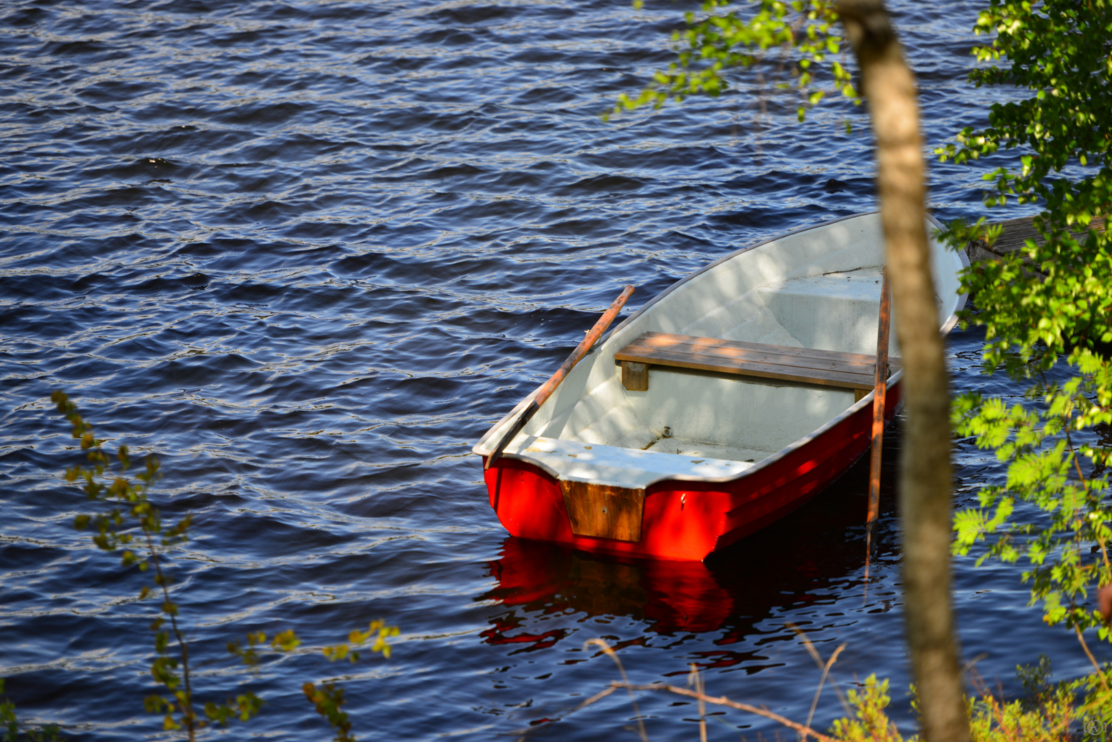 Farben im schwedischen Sommer