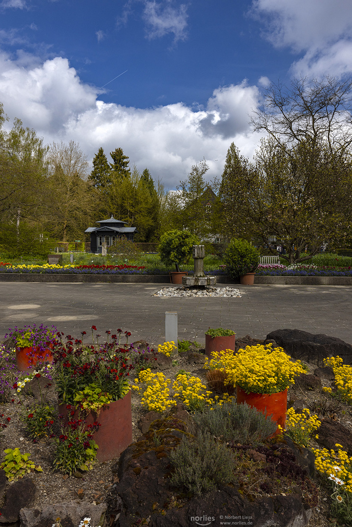 Farben im Senkgarten