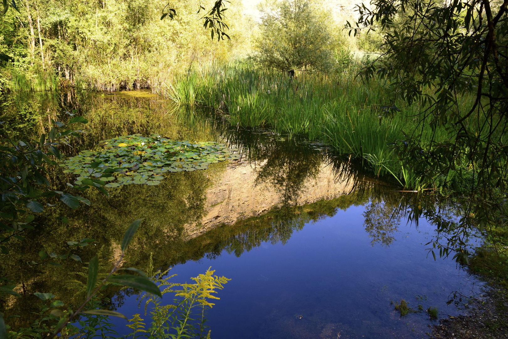 Farben im September