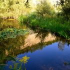 Farben im September