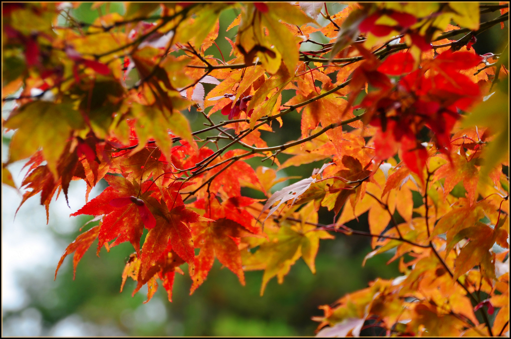 Farben im Vormarsch