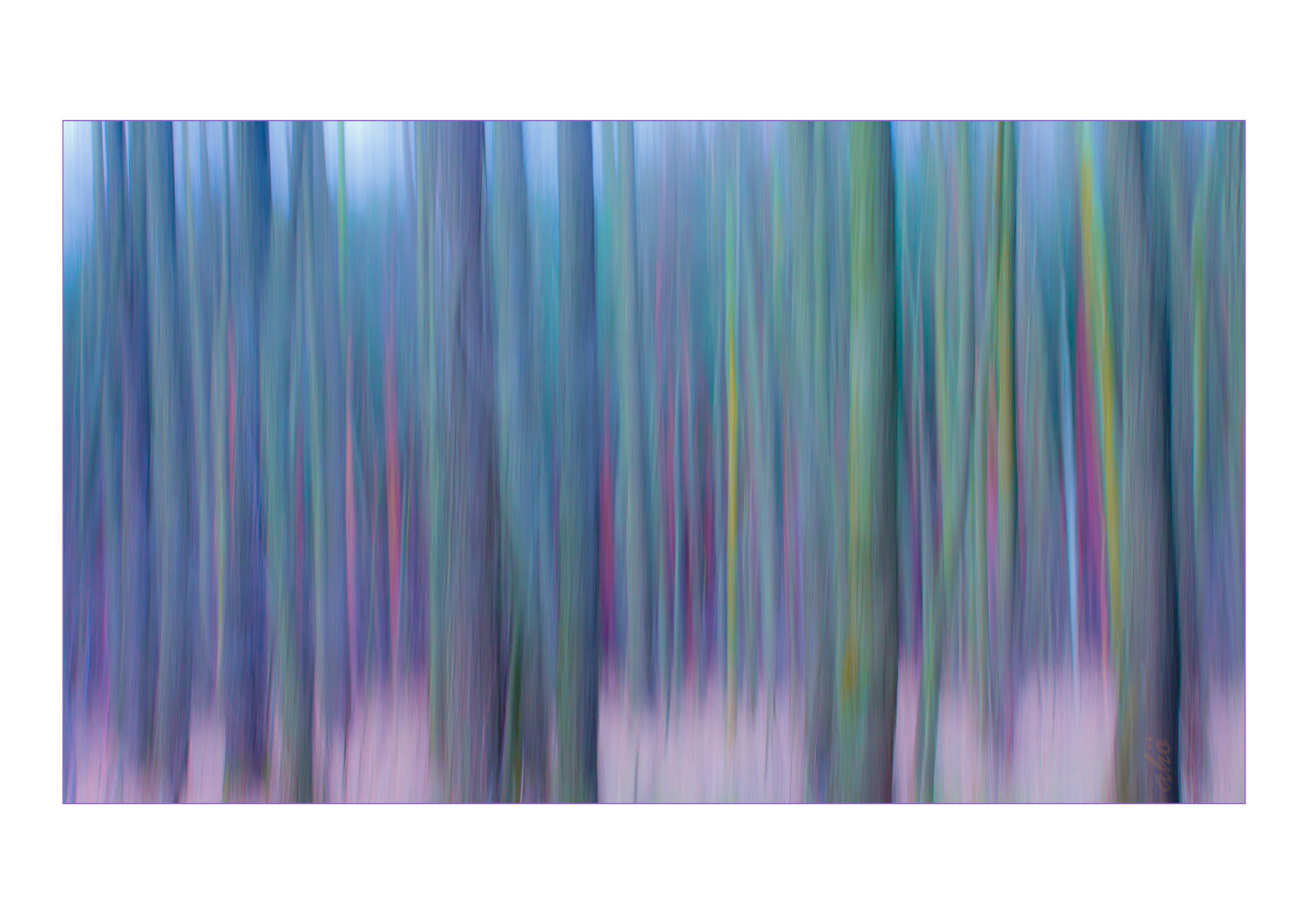 Farben im Wald