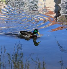 Farben im Wasser