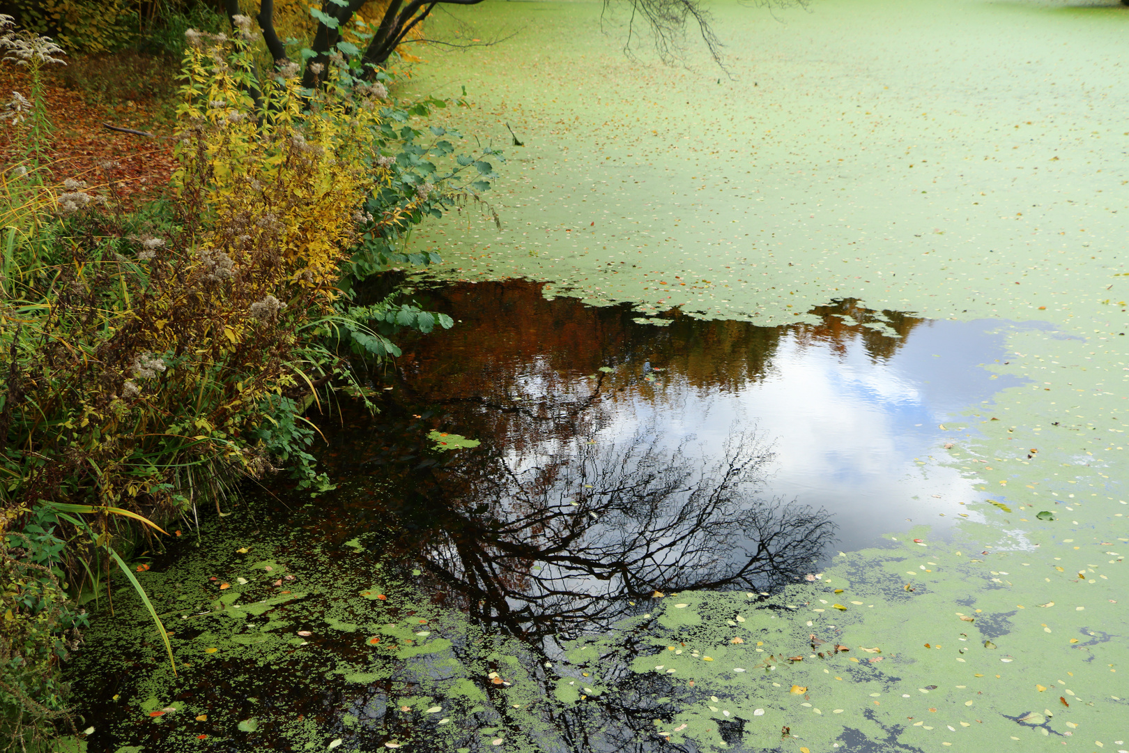 farben im wasser