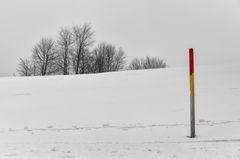 Farben im Winter