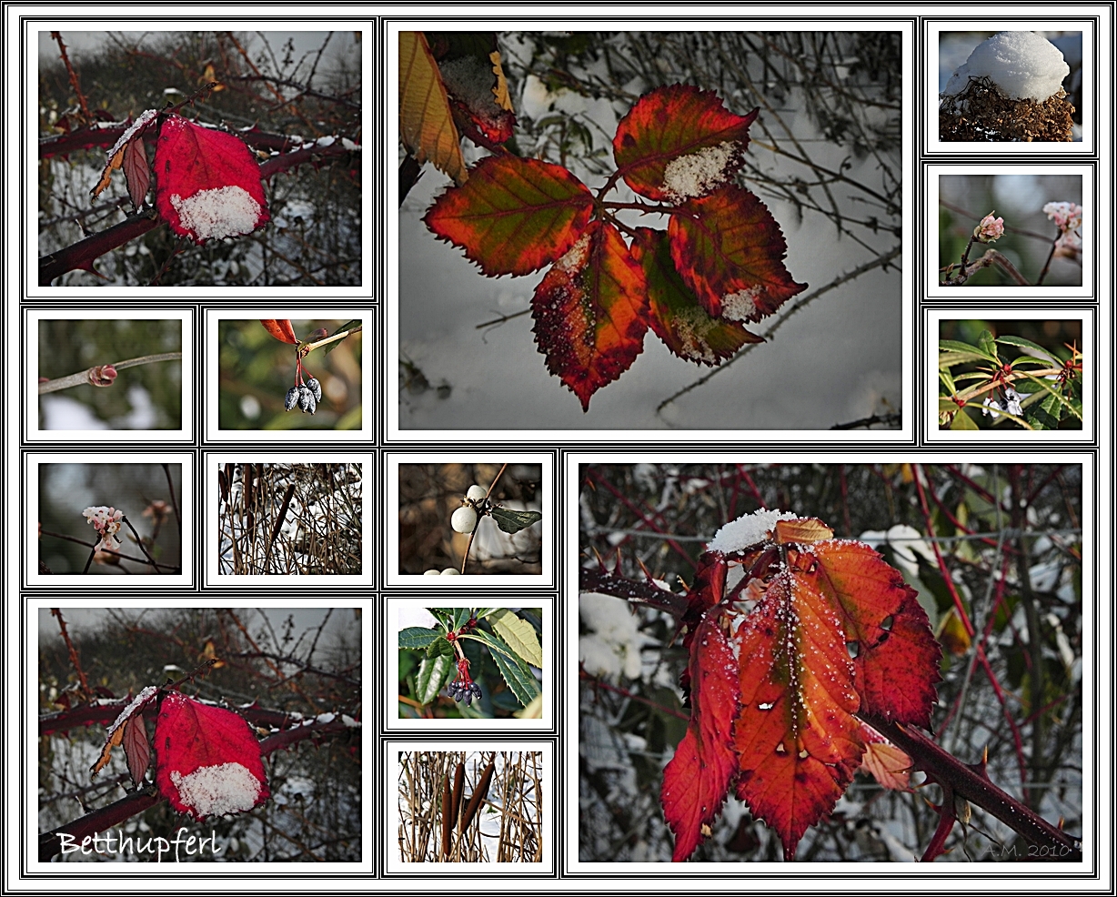 Farben im Winter