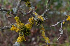 Farben im Winter