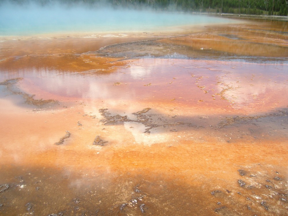 Farben im Yellowstone von Dominic Moser 