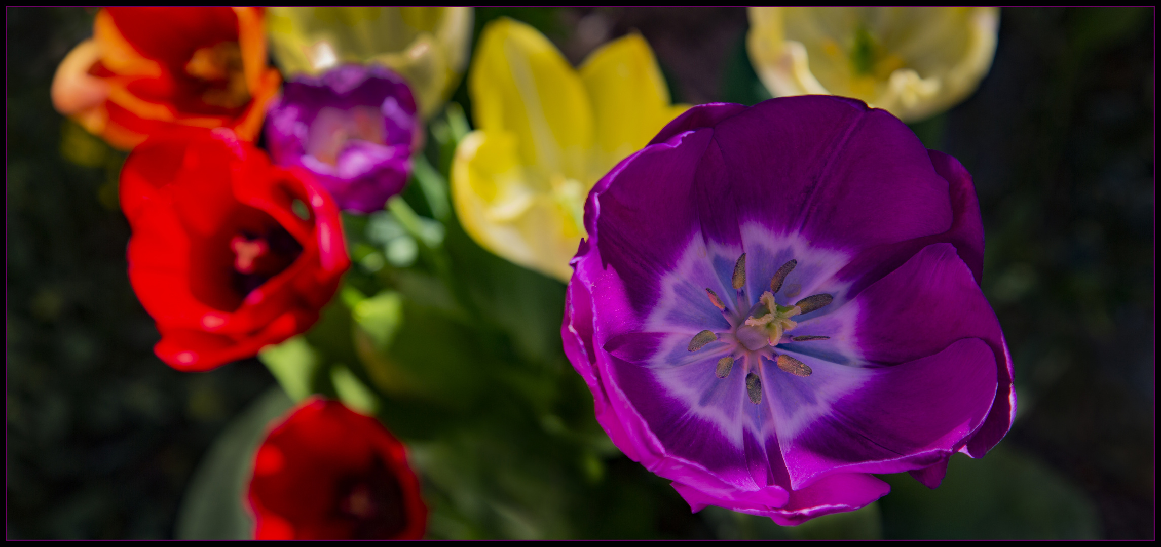 Farben in Besigheim