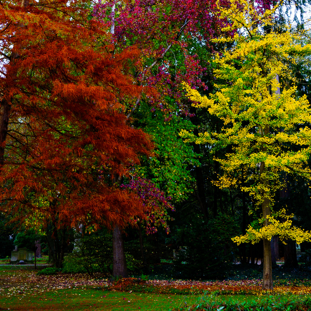 Farben in bot Garten Minden